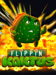 Flippin Kaktus