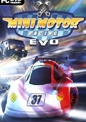 Mini Motor Racing EVO