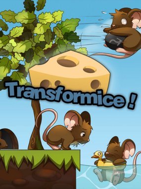 Transformice