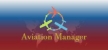 Aviation Manager русская озвучка + субтитры