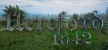 Русификатор Hereford 1642