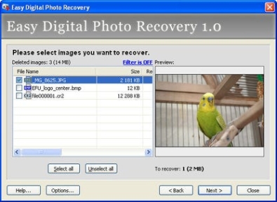 Бесплатный ключ для Easy Digital Photo Recovery