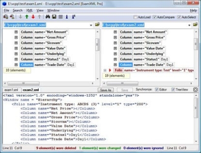 Бесплатный ключ для ExamXML