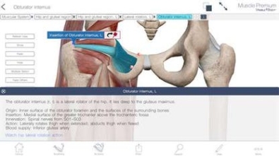 Бесплатный ключ для Muscle Premium: 3D Visual Guide for Bones, Joints & Muscles -- Human Anatomy & Kinesiology for Windows 10