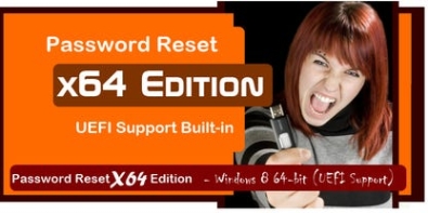 Password Reset X64 Edition ключ активации