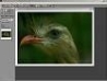 Picture Window Pro (64-bit) генератор серийного номера