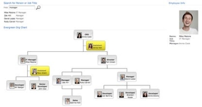 Регистрационный ключ к программе  SharePoint Org Chart for SharePoint Foundation 2010